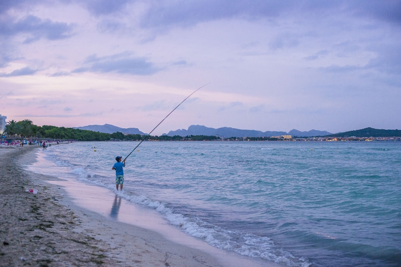 Port d'Alcudia